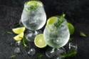 Gin & Tonic with lime, rosemary and ice on rustic looking table (iStock/PA)