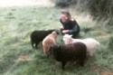 Katy Moran with her sheep