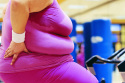 Obesity numbers look to be slowing down