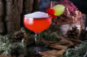 Gin Cocktail : Sloesecco