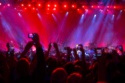Are we a nation of self-obsessed gig-goers?