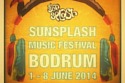 SunSplash Festival 2014