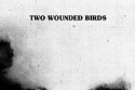 Two Wounded Birds