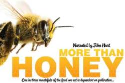 More Than Honey Trailer