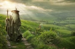 New Zealand: Hobbiton Tours
