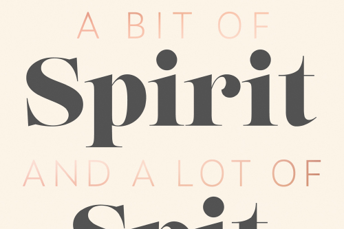 A Bit Of Spirit And A Lot Of Spit by Author Anna Mae