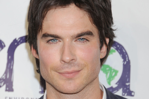 Ian Somerhalder Says Fifty Shades Of Grey Would Be 'Interesting'