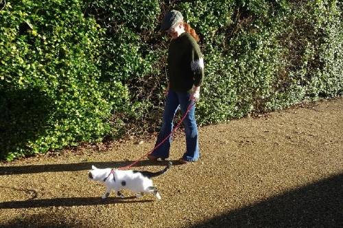 Susie Hewer takes her cat for a walk / Image credit: Supakit