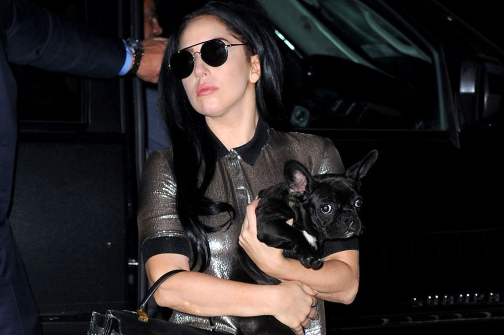 A man who allegedly shot Lady Gaga's dog walker is wanted by Marshals