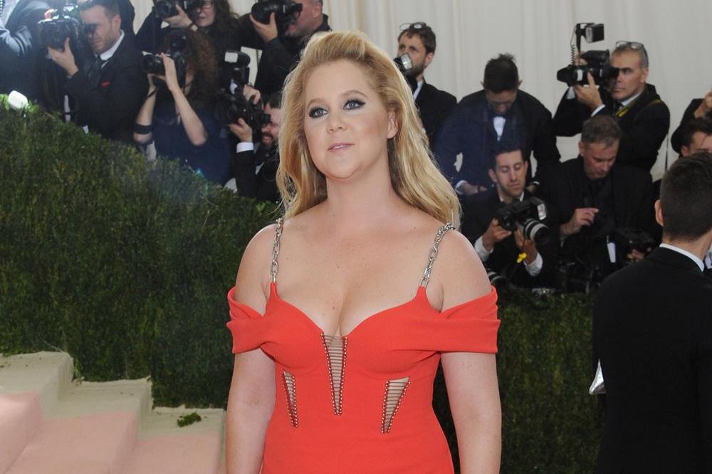 Amy Schumer at the 2016 Met Gala 