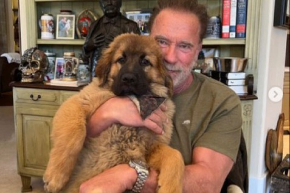 Arnie with his new dog Schnitzel (c) Instagram