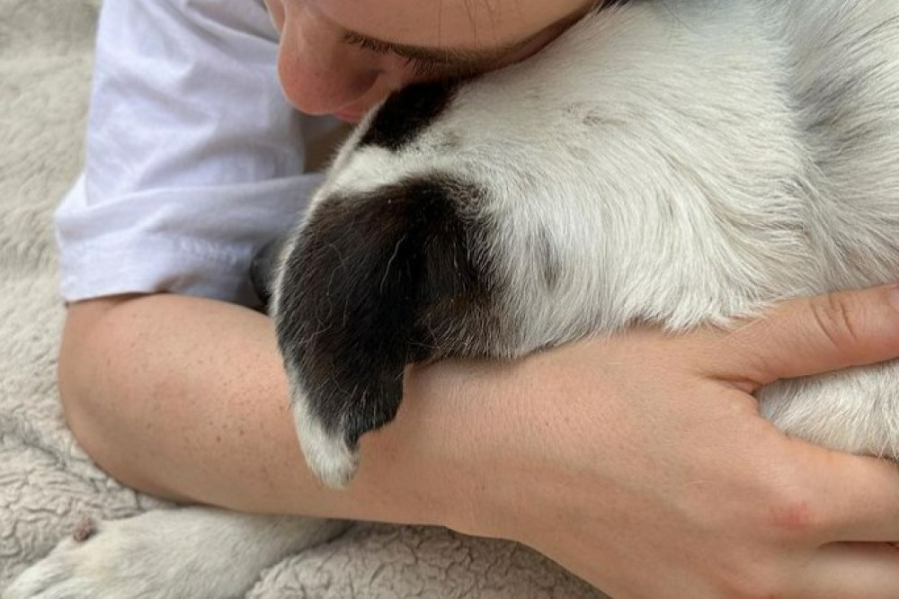 Billie Eilish is devastated after losing he beloved family pet