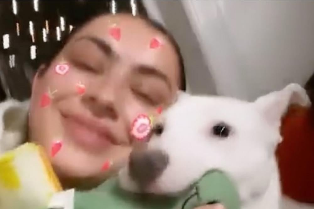 Charli XCX and her puppy (c) Instagram
