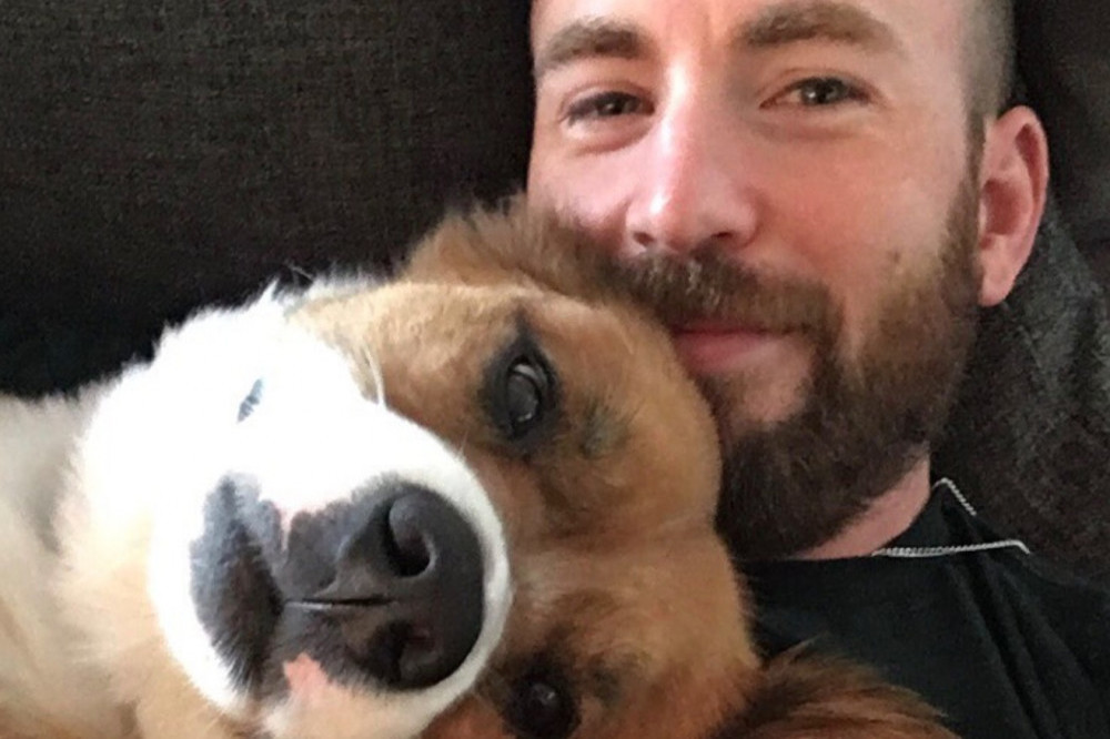 Chris Evans says adopting an older dog was his best decision