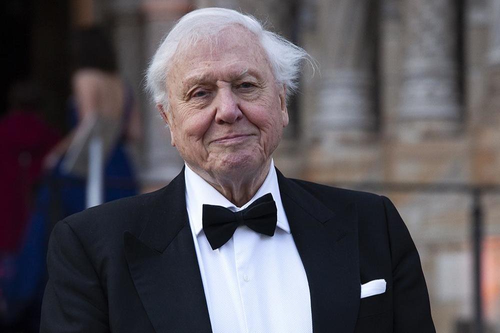 Sir David Attenborough will present new BBC documentary