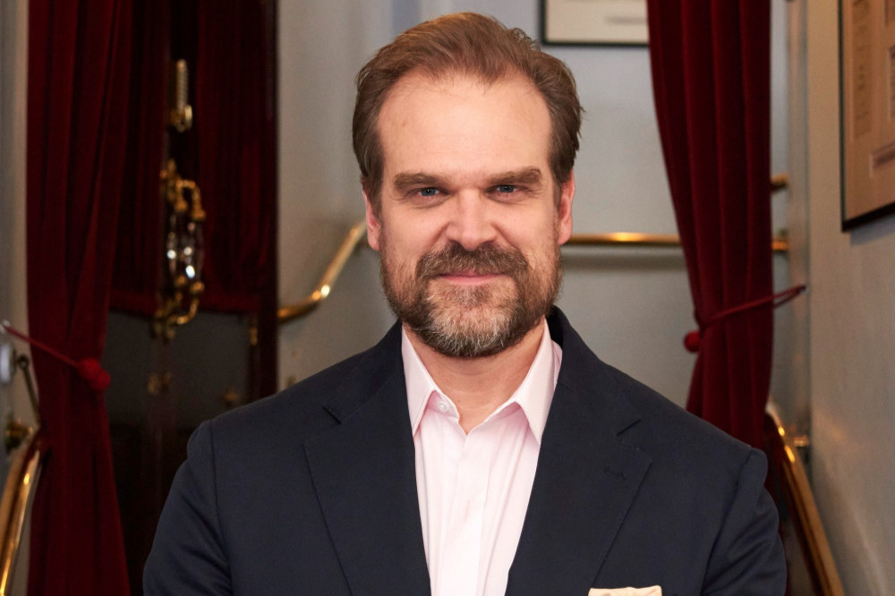 David Harbour has opened up about auditioning for Madonna