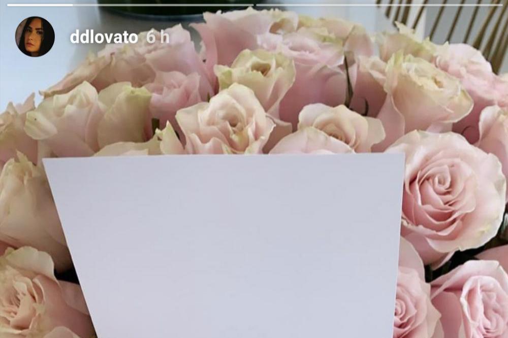 Demi Lovato's flowers (c) Demi Lovato/Instagram Stories