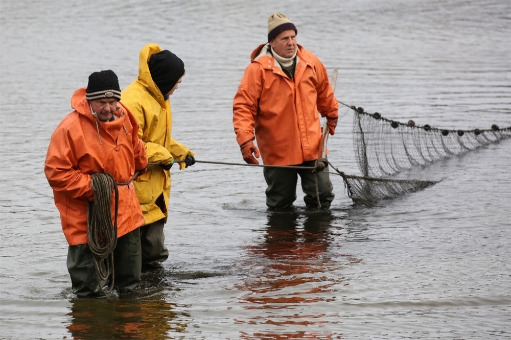 Fishermen in New Hampshire reeled in a wooly mammoth tooth