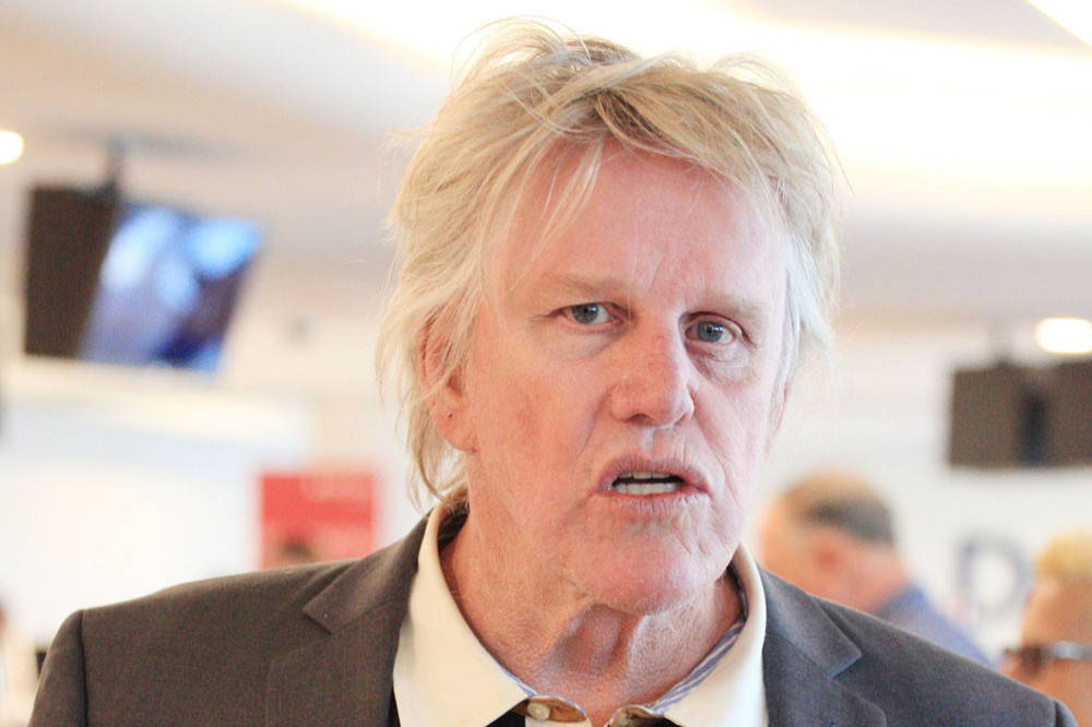 Gary Busey has been accused of leaving the scene of an accident without handing over his insurance details