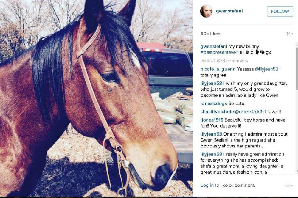 Gwen Stefani's pet horse (c) Instagram