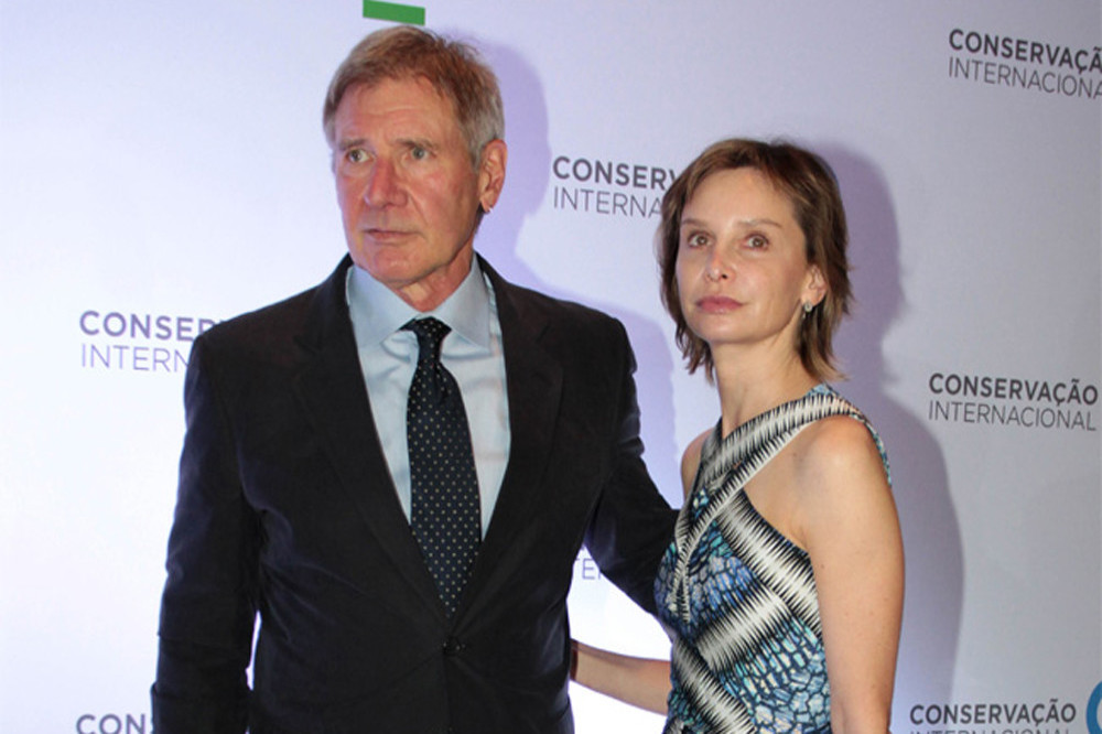 Harrison Ford and Calista Flockhart leaned on their foster dogs following his plane crash