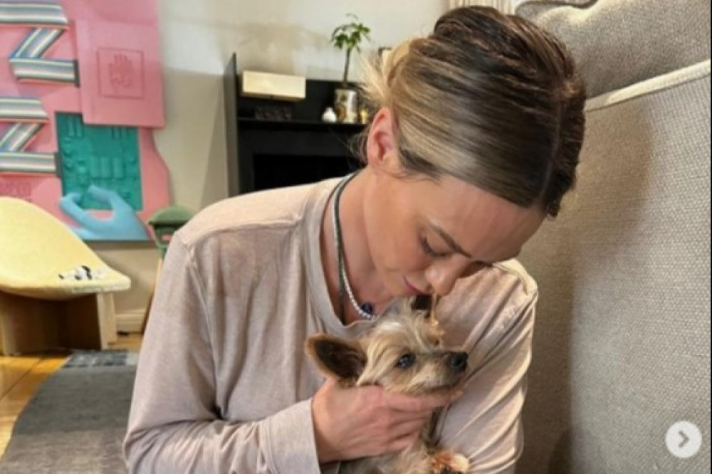 Hilary Duff is mourning the loss of her beloved pooch Jak (C) Hilary Duff/Instagram