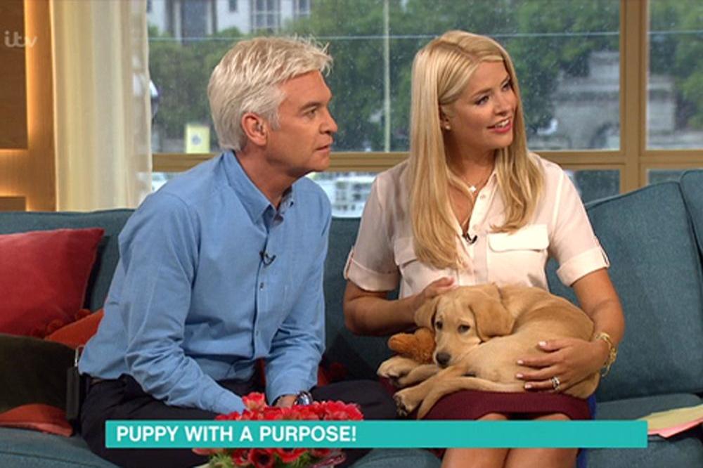 Holly Willougby and Phillip Schofield with the puppy