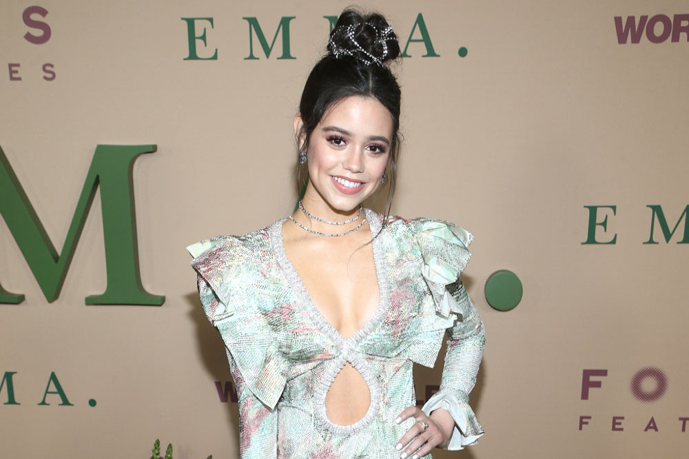 Jenna Ortega will play Wednesday Addams in the new series