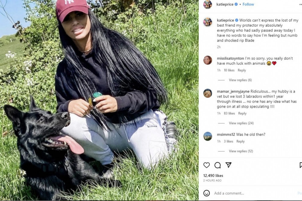 Katie Price and her dog Blade (c) Instagram