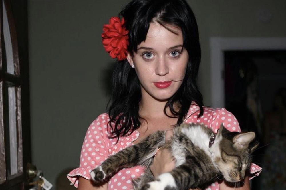 Katy Perry and her pet cat (c) Instagram