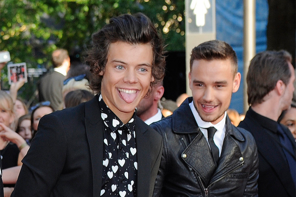 Harry Styles and Liam Payne in 2013