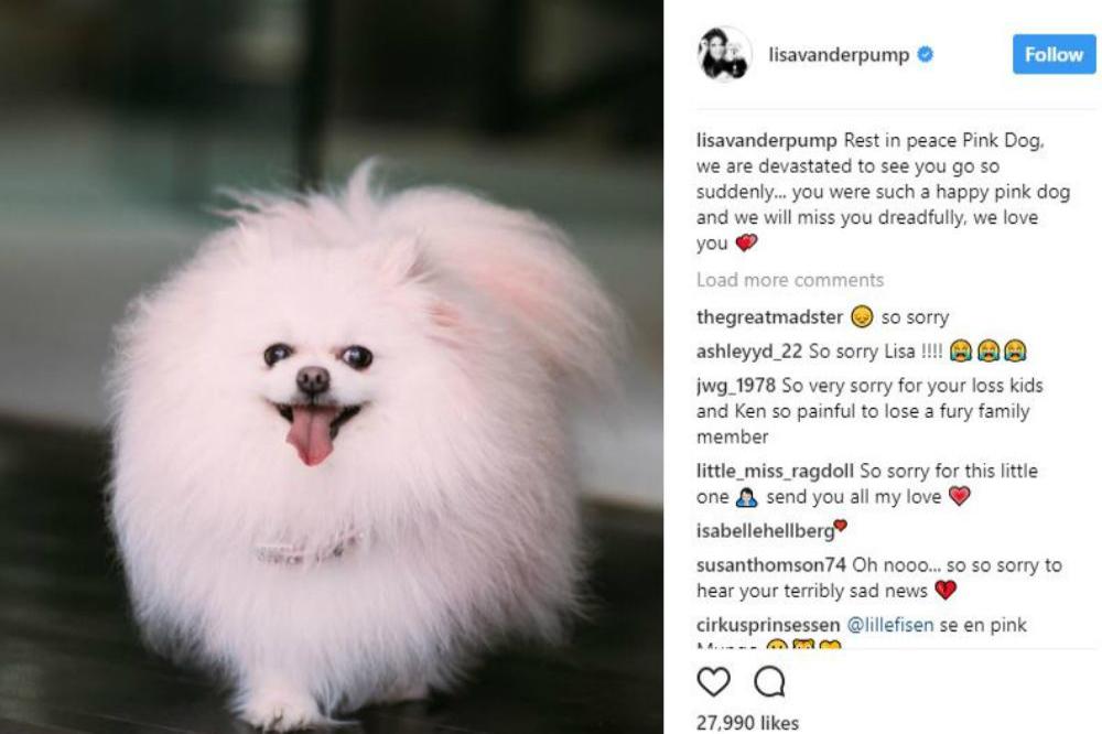 Lisa Vanderpump's dog (c) Instagram/Lisa Vanderpump