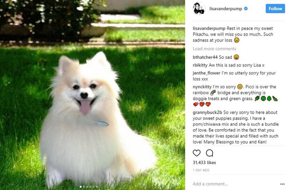 Lisa Vanderpump's dog Pikachu (c) Instagram