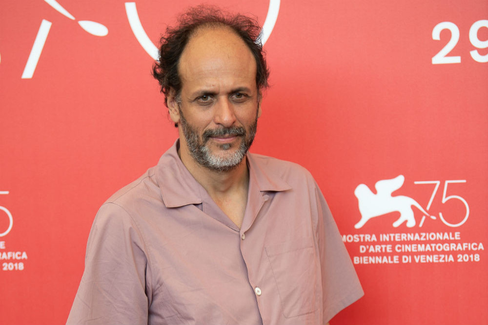 Luca Guadagnino is planning a follow-up to 'Call Me by Your Name'