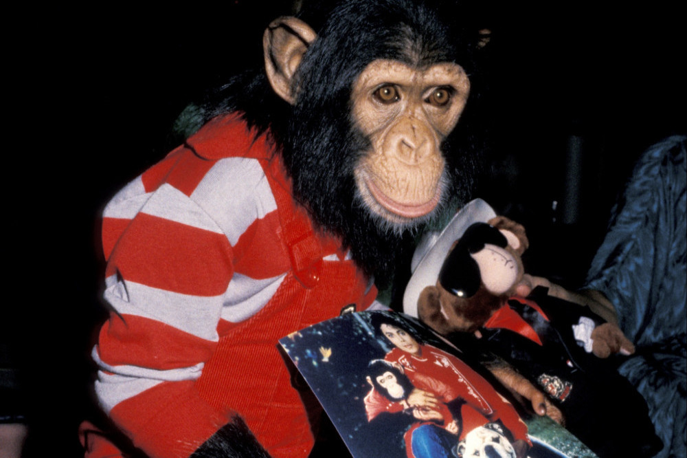 Michael Jackson's pet chimpanzee Bubbles