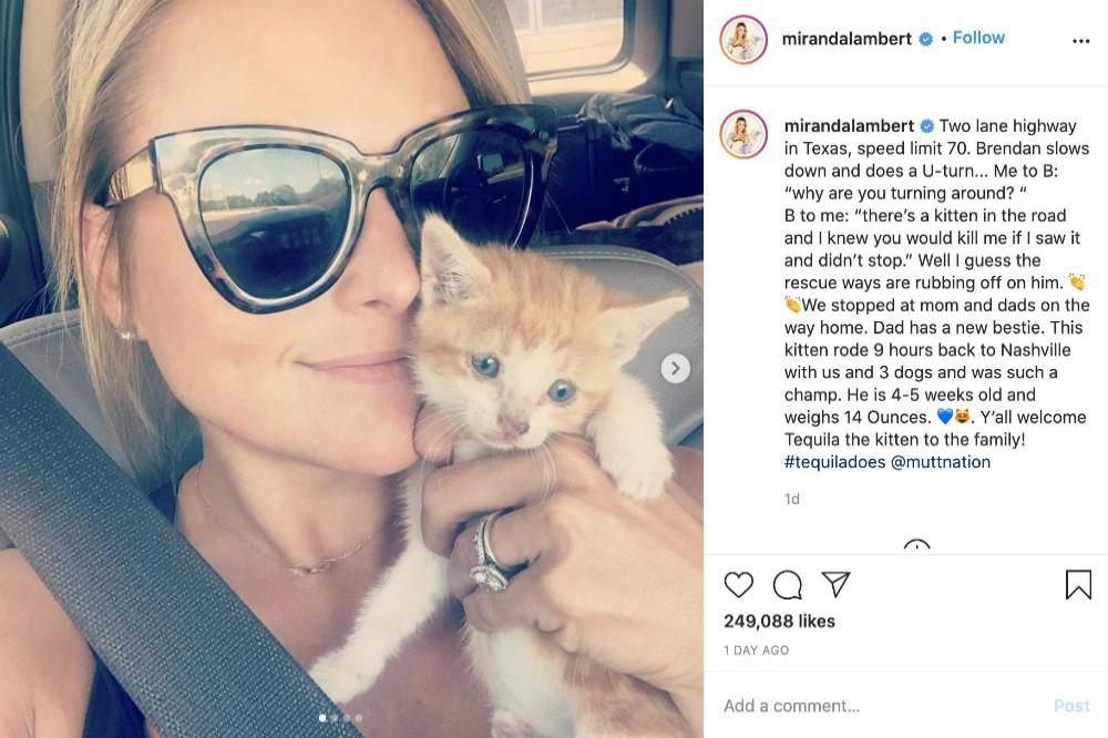 Miranda Lambert's Instagram (c) post