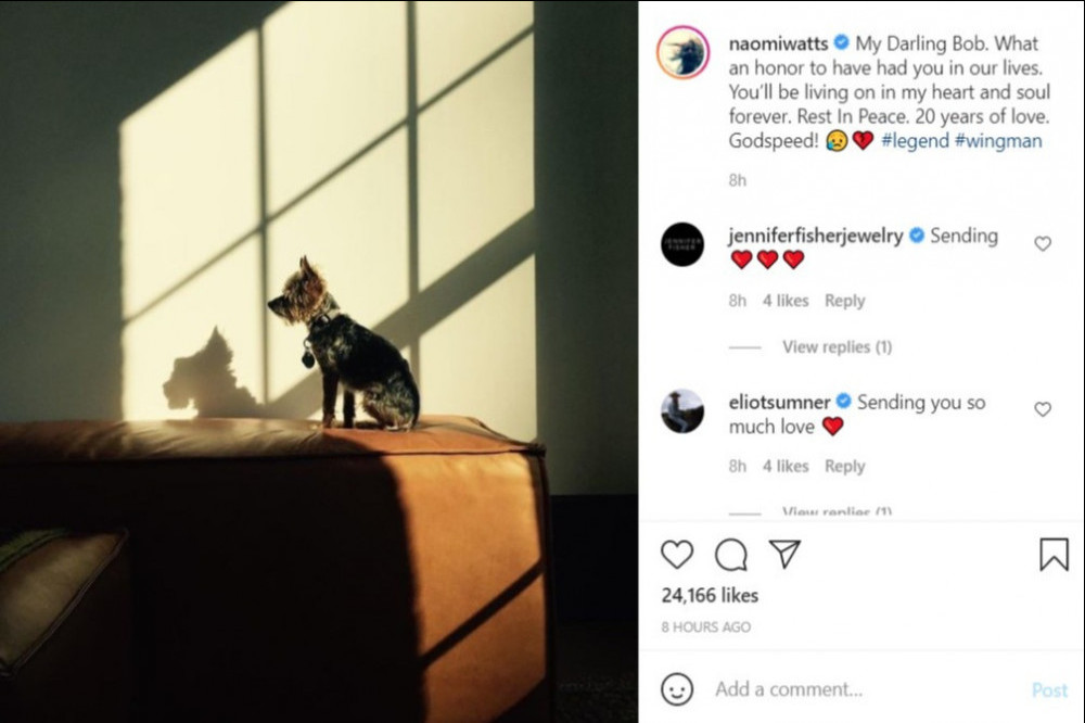 Naomi Watts' Instagram (c) post