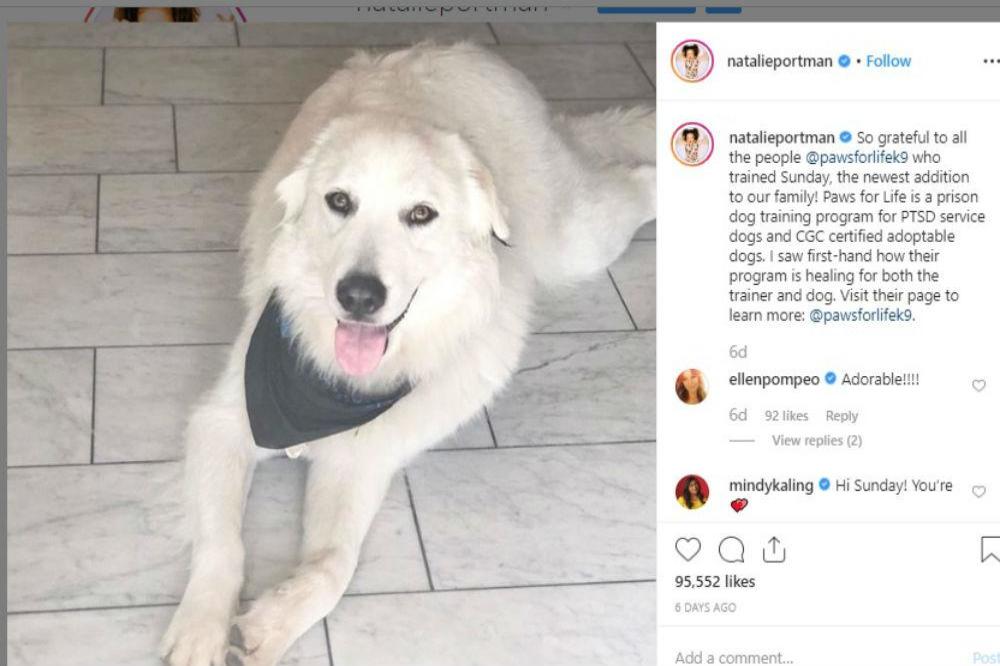 Natalie Portman's new dog (c) Instagram