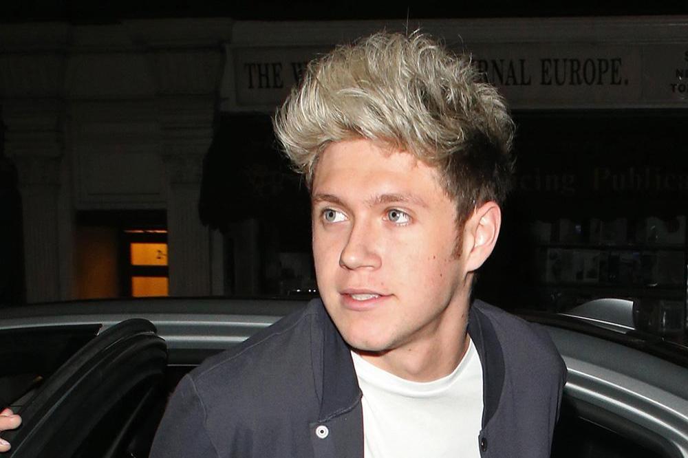 Niall Horan Wants a One Direction Tattoo