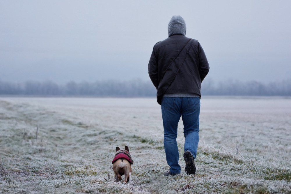 Owning a dog reduces the risk of dementia