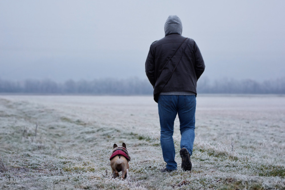 Walking 10,000 steps per day reduces the chances of a premature death