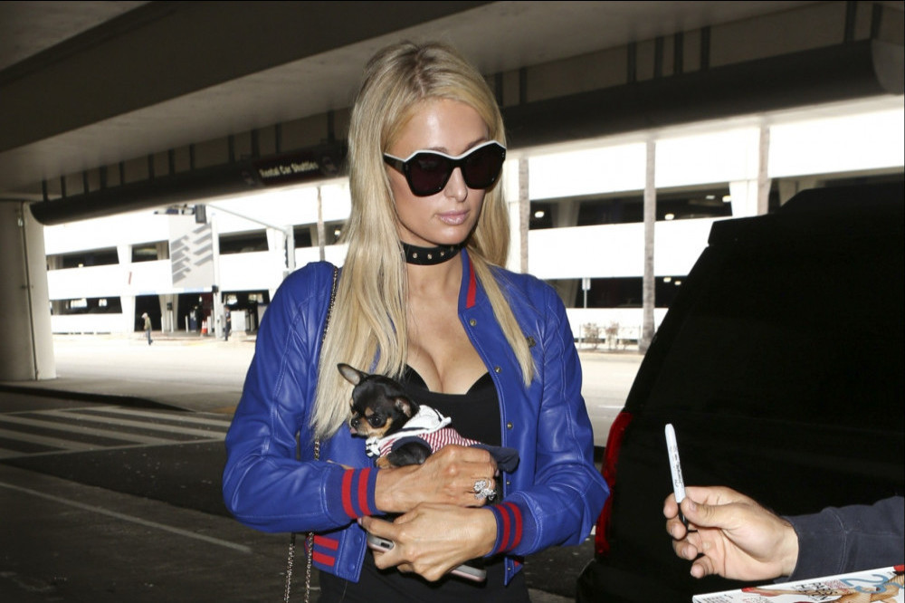 Paris Hilton and her beloved dog Diamond Baby