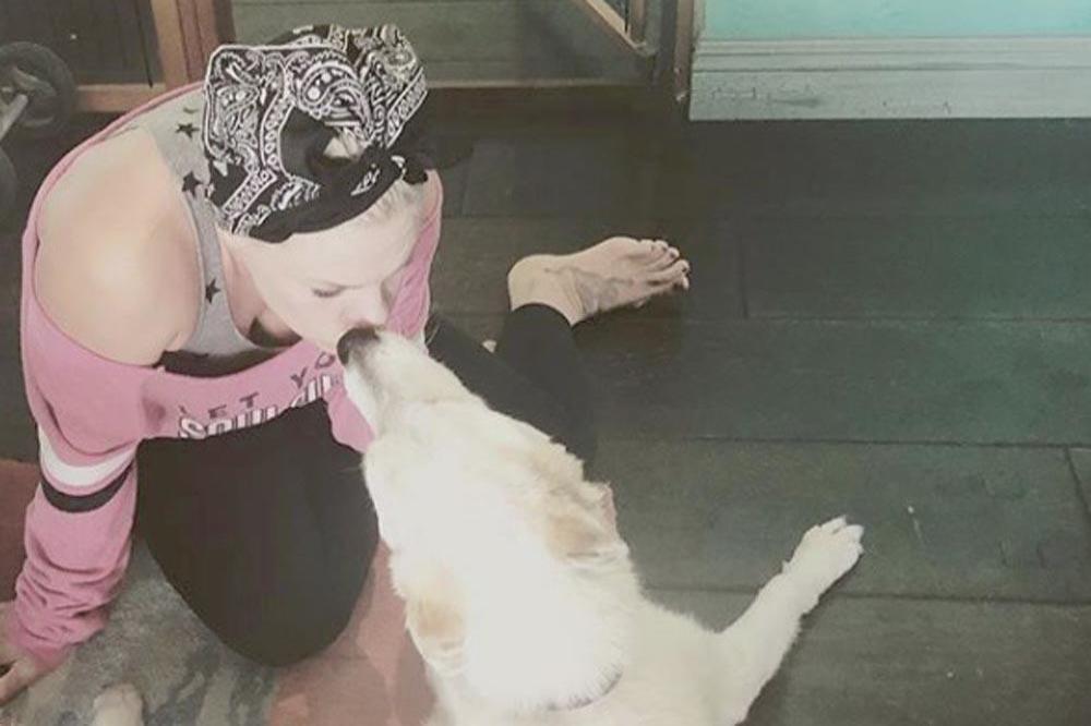 Pink and her dog (c) Instagram