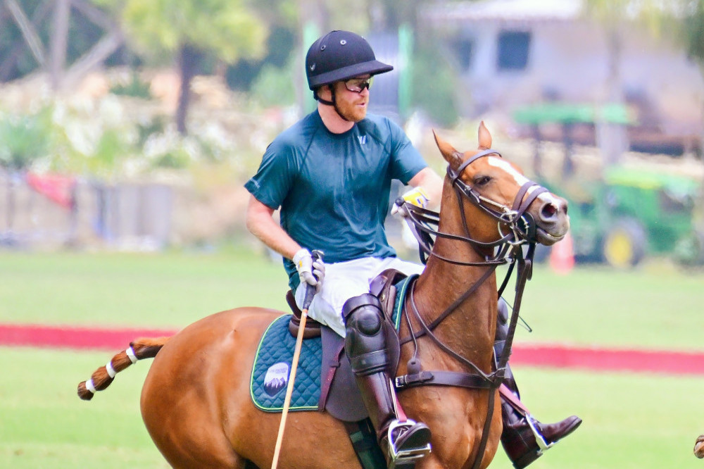Prince Harry fell off his horse during a polo game