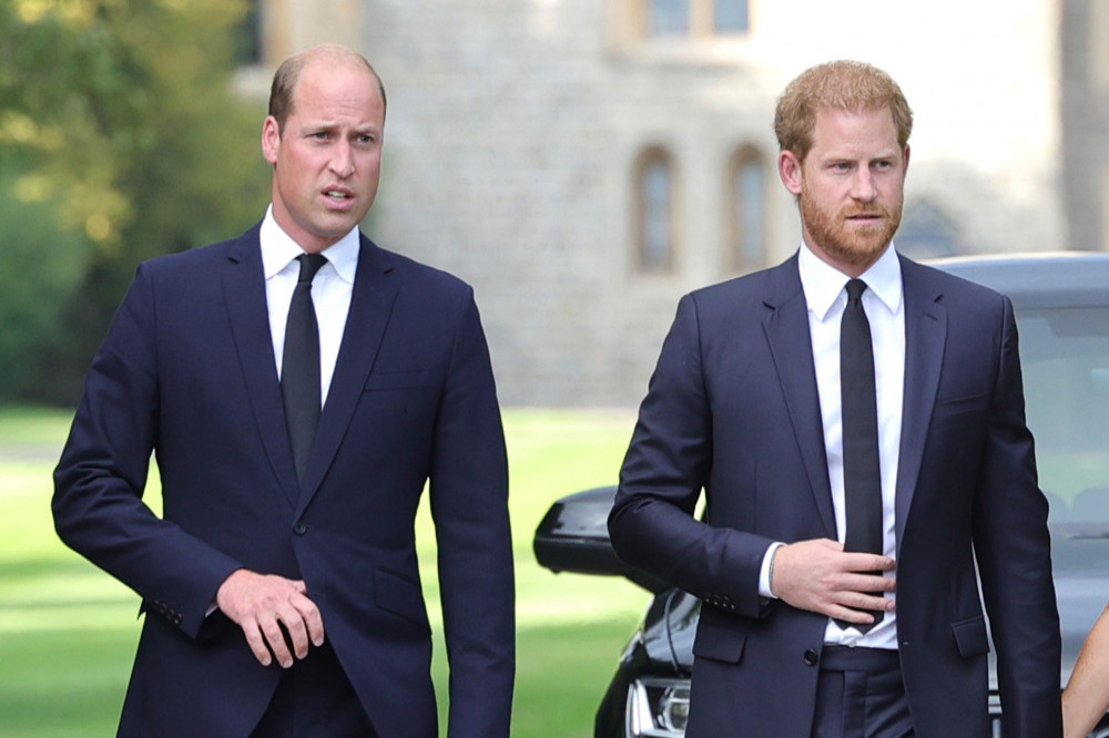 Prince Harry found Prince William's hair loss alarming