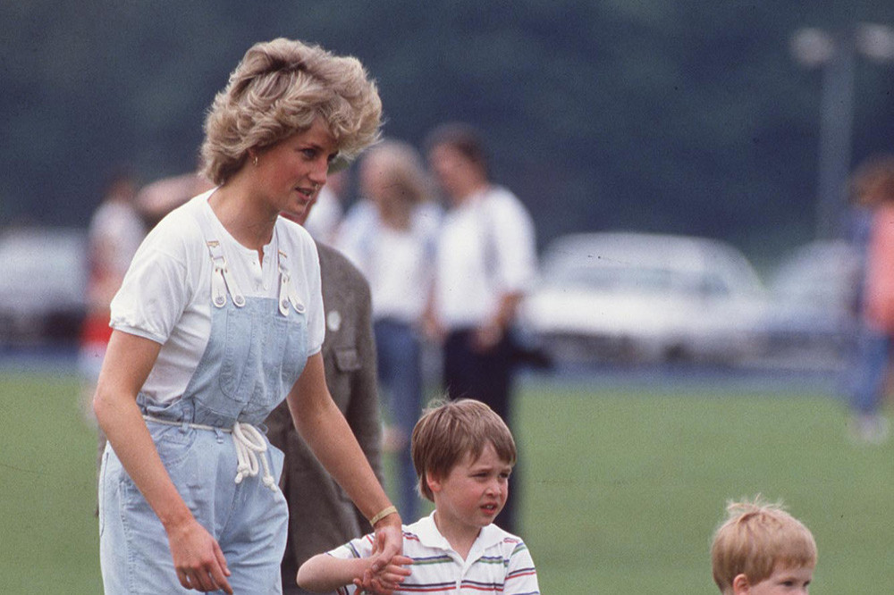 Princess Diana with her sons Prince Harry and Prince William