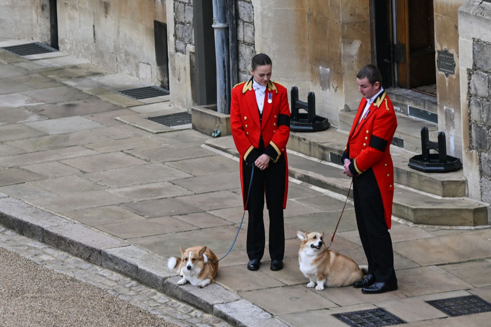 Queen Elizabeth is missed by her corgis Sandy and Muick