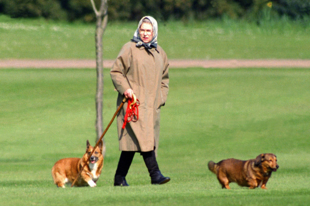 Queen Elizabeth's guest ate her dogs' biscuits