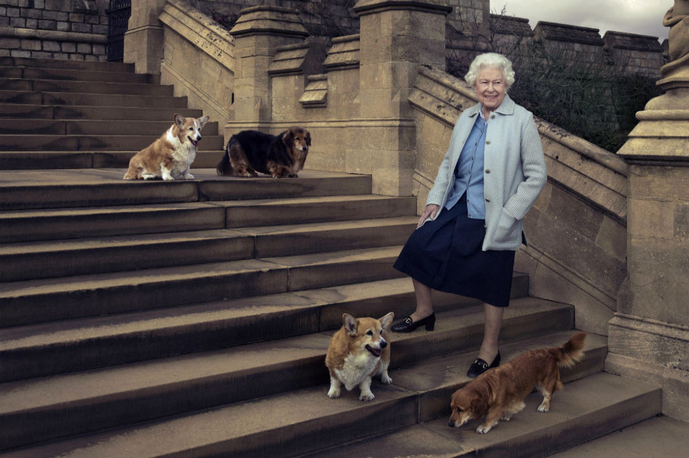 Queen Elizabeth with her dogs in 2016