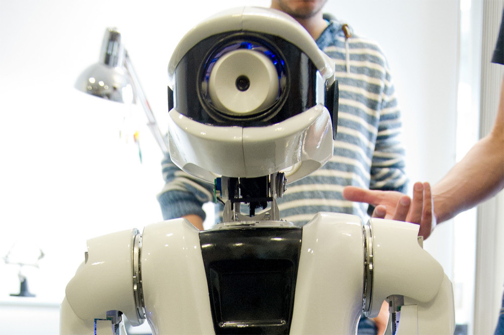 Robots could act as alternative pets for humans